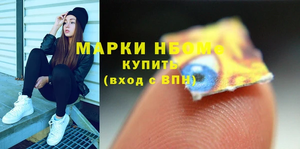 индика Саяногорск