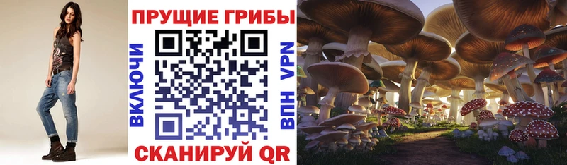 Галлюциногенные грибы Magic Shrooms  купить наркотики сайты  Дюртюли 