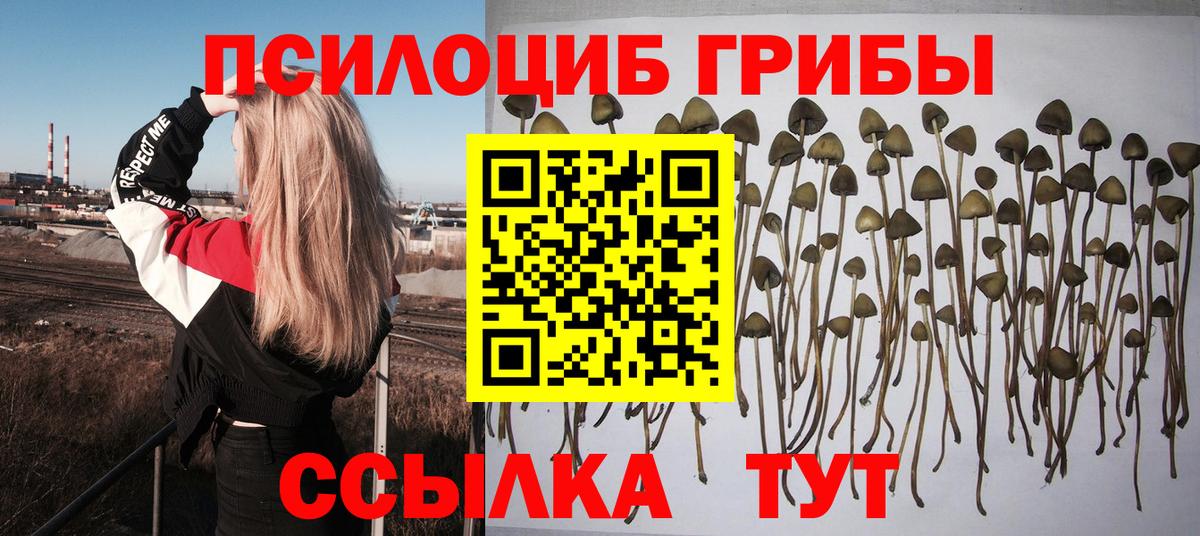 Псилоцибиновые грибы MAGIC MUSHROOMS Дюртюли