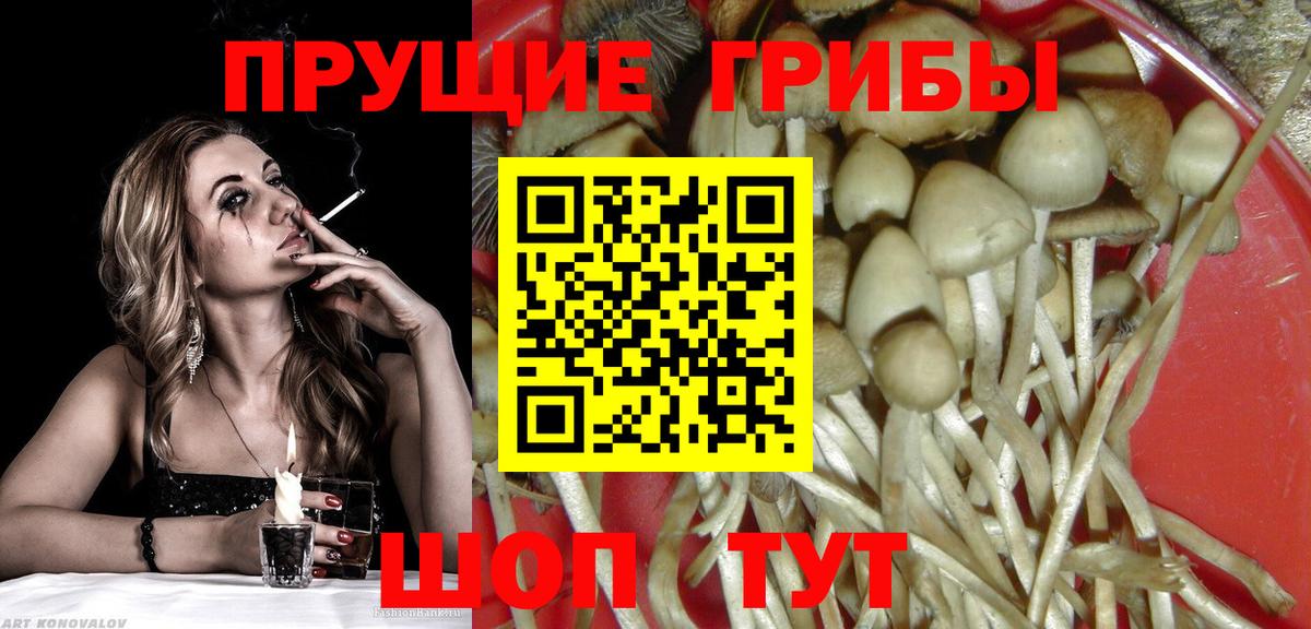 Дюртюли  Галлюциногенные грибы прущие грибы  Галлюциногенные грибы прущие грибы  Вход с VPN 