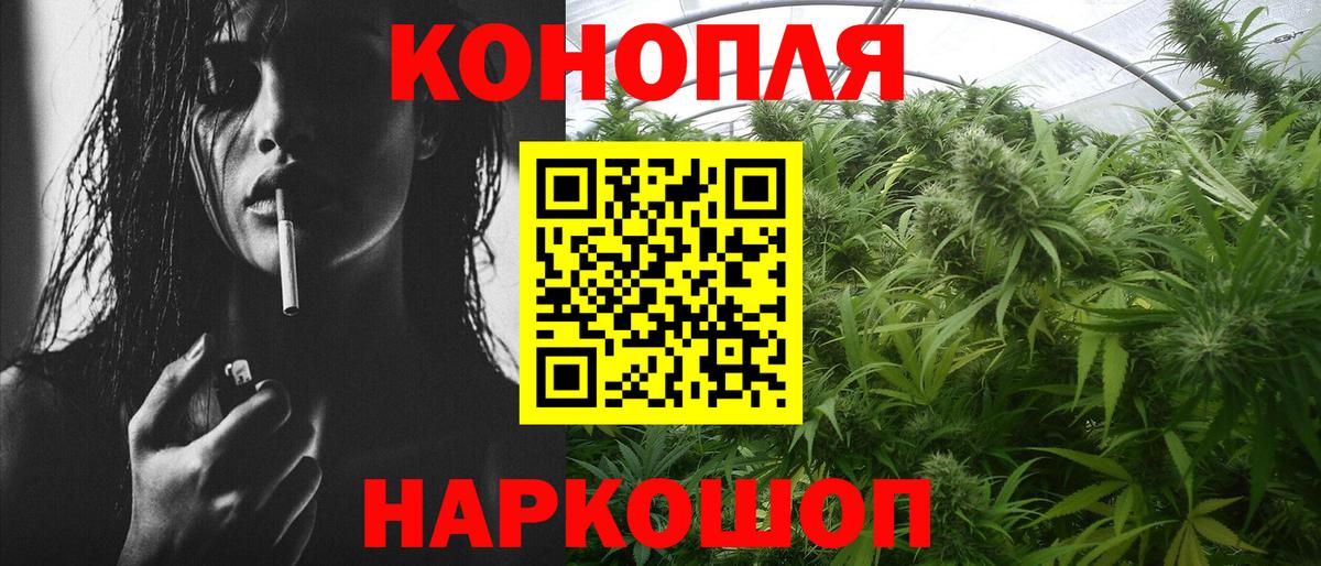 Бошки Шишки марихуана  Бошки Шишки сатива  Шишки марихуана планчик  Дюртюли  Вход с VPN  Каннабис Bruce Banner 